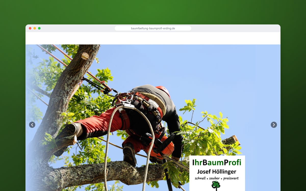 Startseite von Ihr Baumprofi Erding in einem Browserfenster