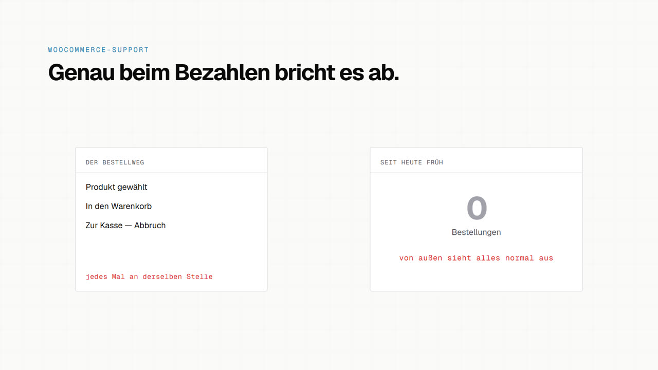Vorschaubild zum Erklärvideo: Genau beim Bezahlen bricht es ab